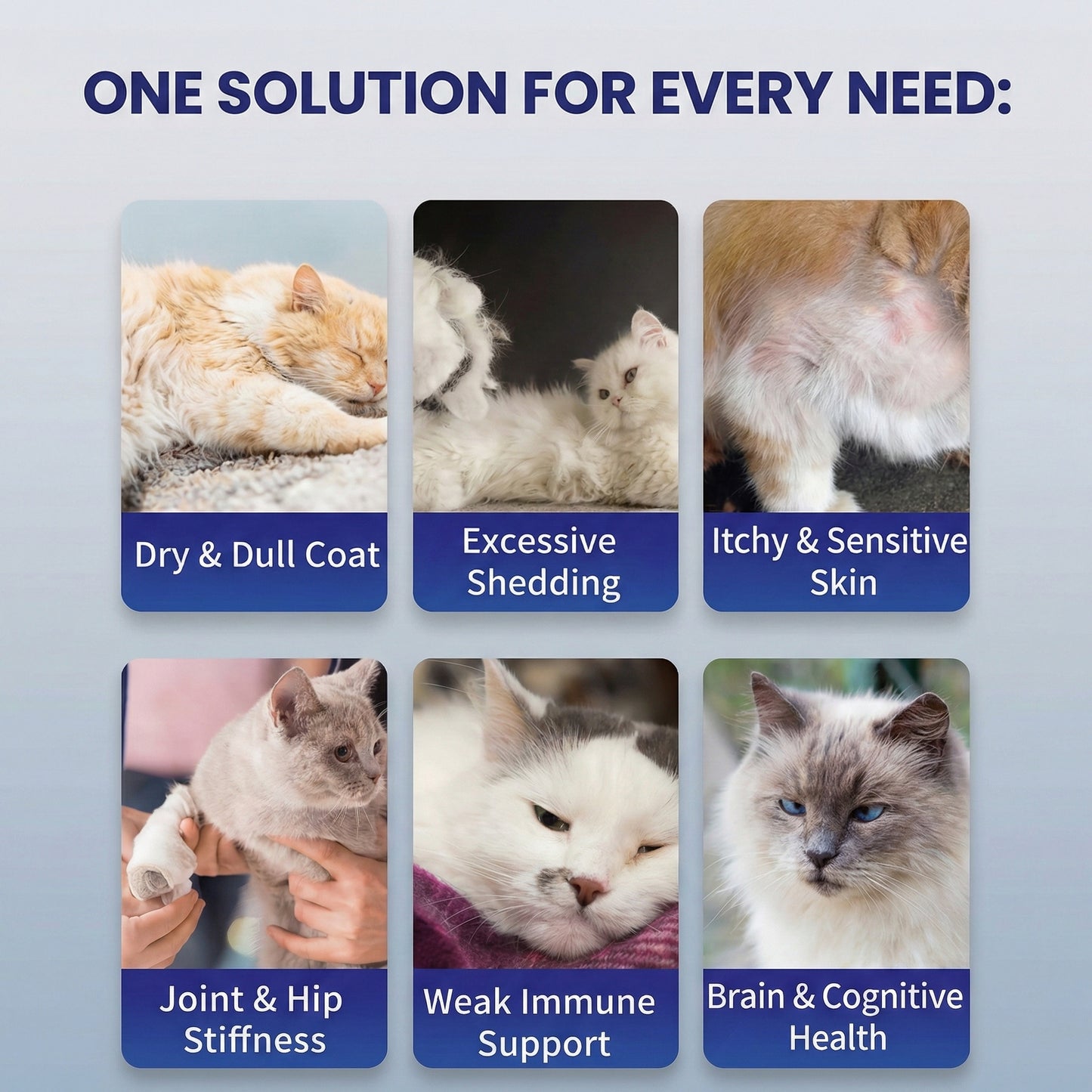 MAG High-Purity Omega-3 Fish Oil for Dogs & Cats - 95% Omega-3 with EPA & DHA for Healthy Skin, Glossy Coat & Immune Support