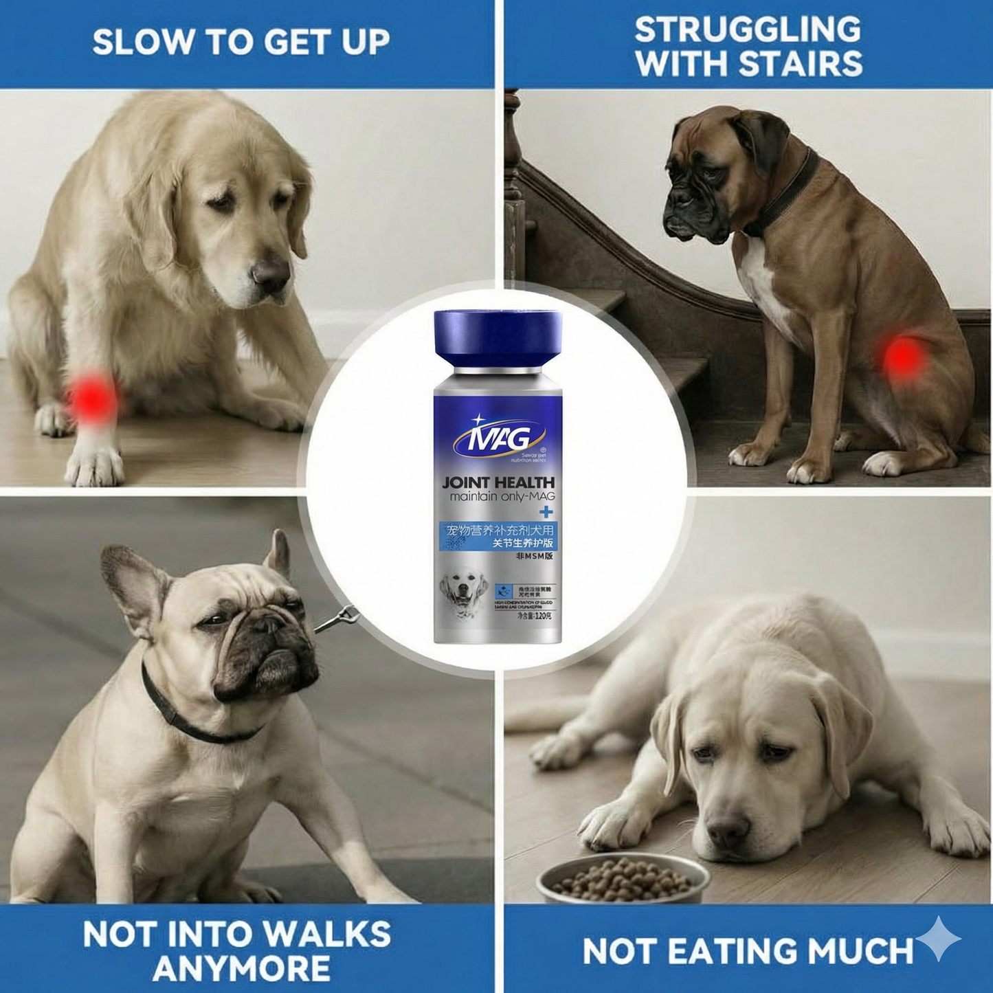 MAG Advanced 10x Concentrated Dog Joint Supplement for All Breeds & Sizes - with Glucosamine, Chondroitin, MSM