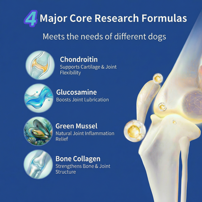 MAG Advanced 10x Concentrated Dog Joint Supplement for All Breeds & Sizes - with Glucosamine, Chondroitin, MSM