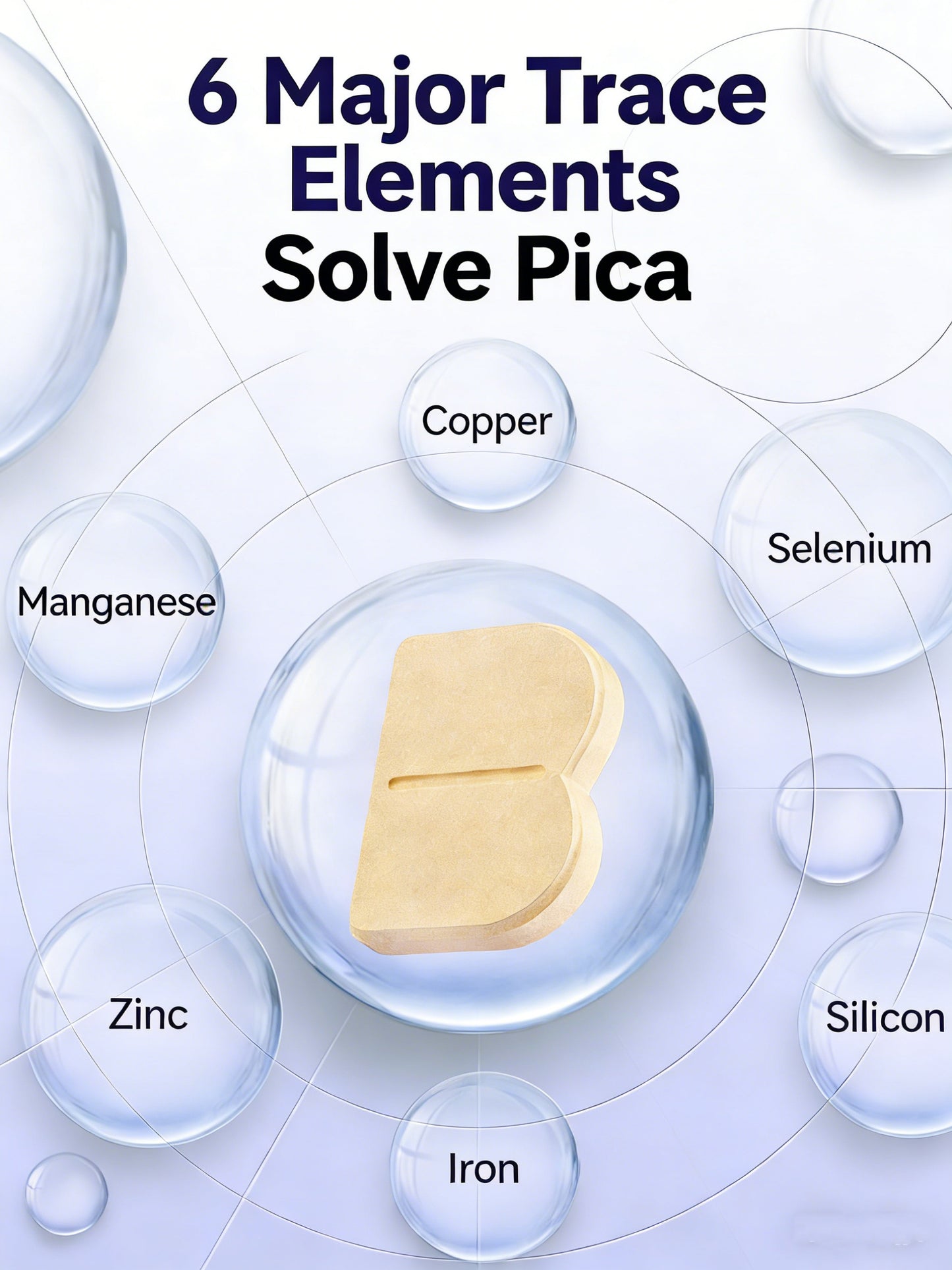 Daily Pet B-Vitamin Chews for Dogs & Cats - Nutritional Supplement for Enhanced Health