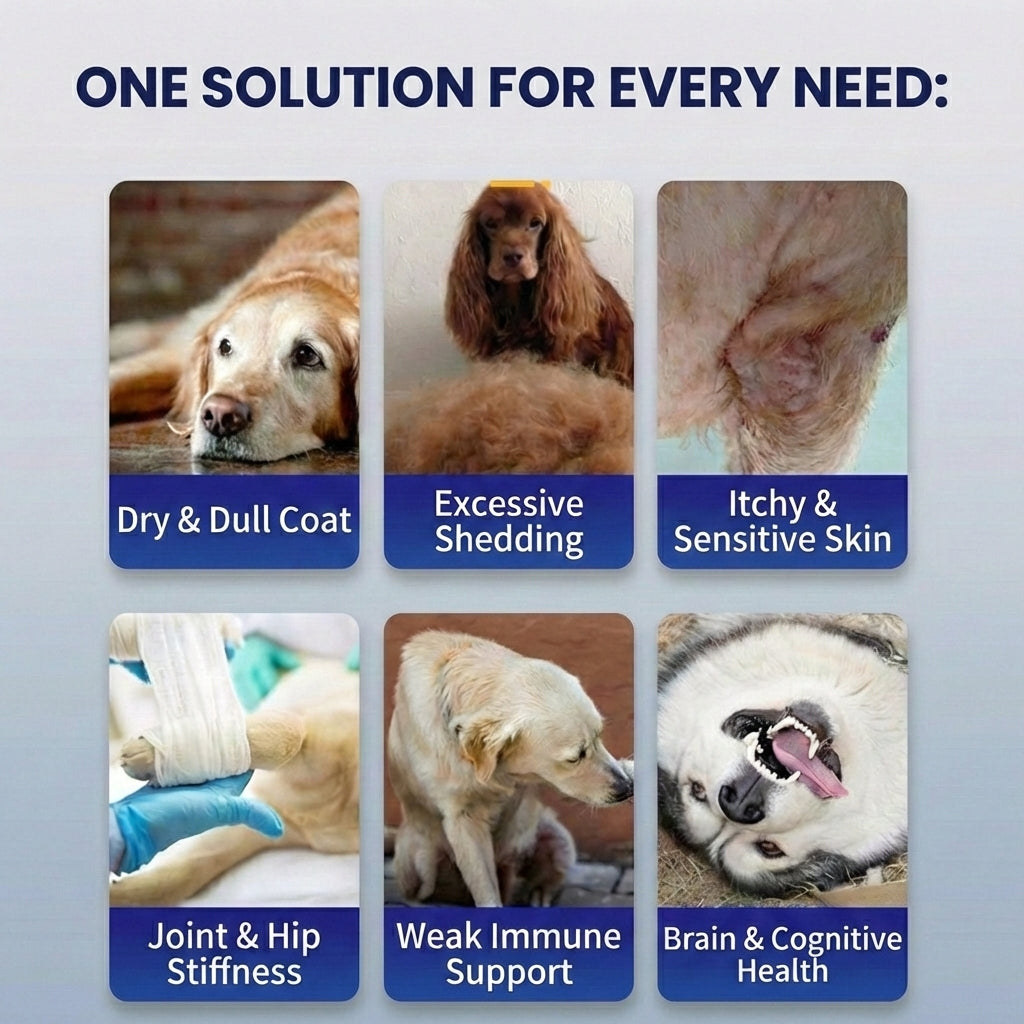 MAG High-Purity Omega-3 Fish Oil for Dogs & Cats - 95% Omega-3 with EPA & DHA for Healthy Skin, Glossy Coat & Immune Support